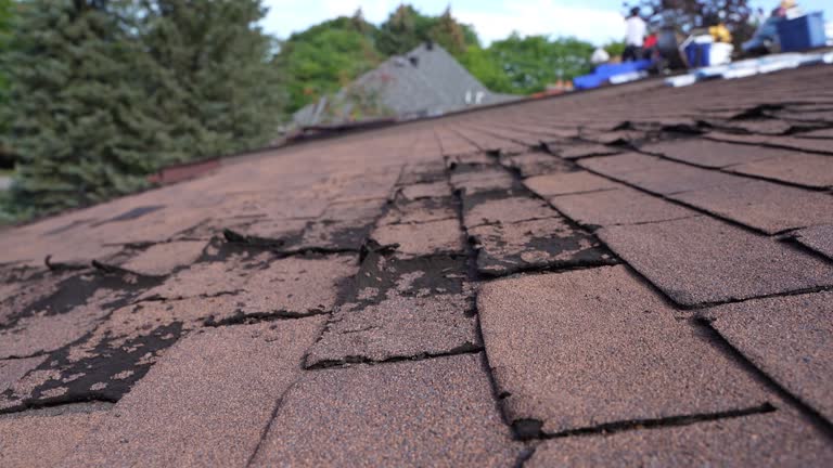 Mont Clare, PA Roofing Service Company