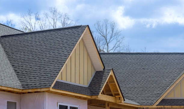 Best Solar Panel Roofing Installation  in Mont Clare, PA