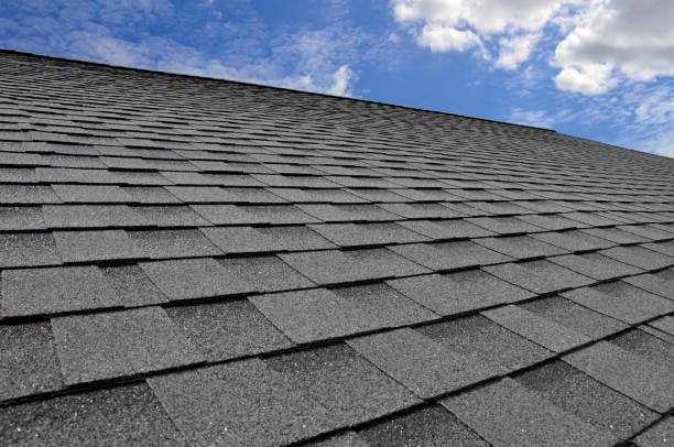 Best Sheet Metal Roofing  in Mont Clare, PA
